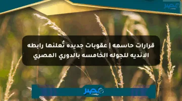 قرارات حاسمة | عقوبات جديدة تُعلنها رابطة الأندية للجولة الخامسة بالدوري المصري